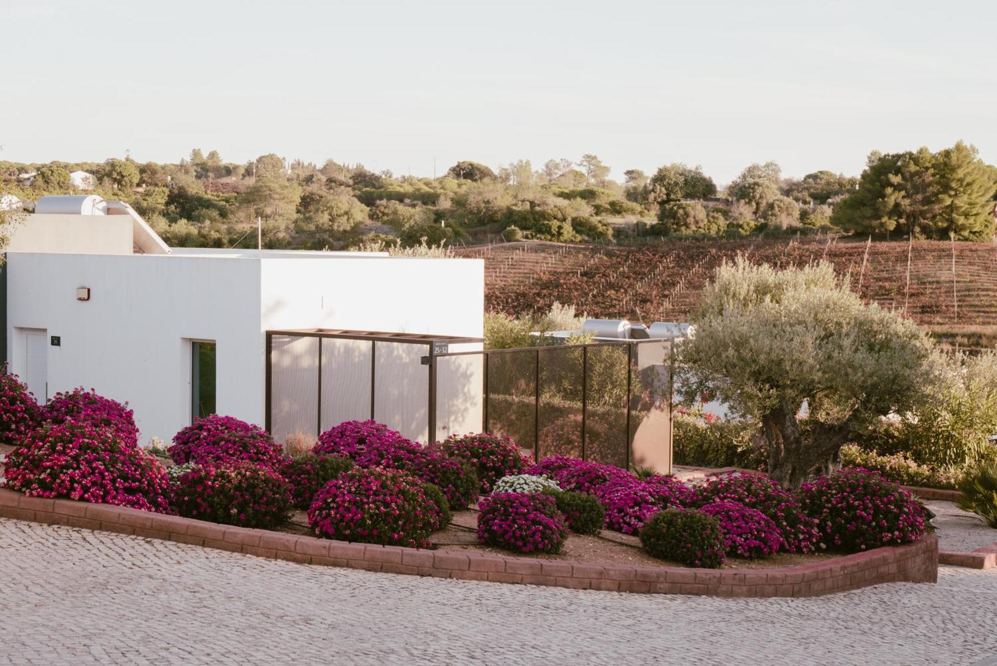 Hostal Quinta dos Vales Wine Estate Estômbar Exterior foto
